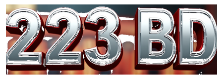 223bd logo